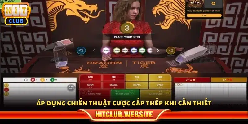 Kinh nghiệm chơi rồng hổ gấp thếp đúng lúc